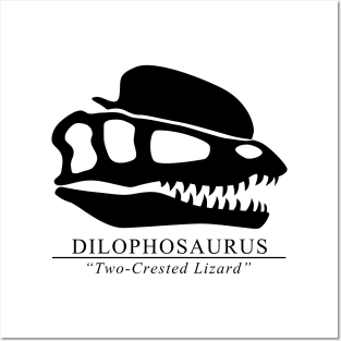 Dilophosaurus Skull Posters and Art